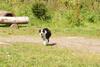 2009-08-23_ntb_7009