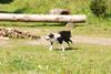 2009-08-23_ntb_7010