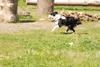 2009-08-23_ntb_7011