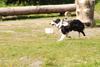 2009-08-23_ntb_7012