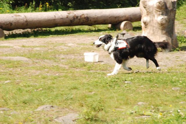 2009-08-23_ntb_7012
