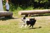 2009-08-23_ntb_7013