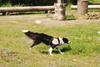 2009-08-23_ntb_7015