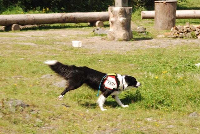 2009-08-23_ntb_7015