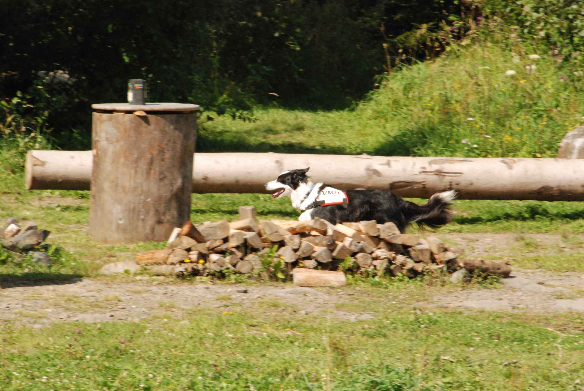 2009-08-23_ntb_7016
