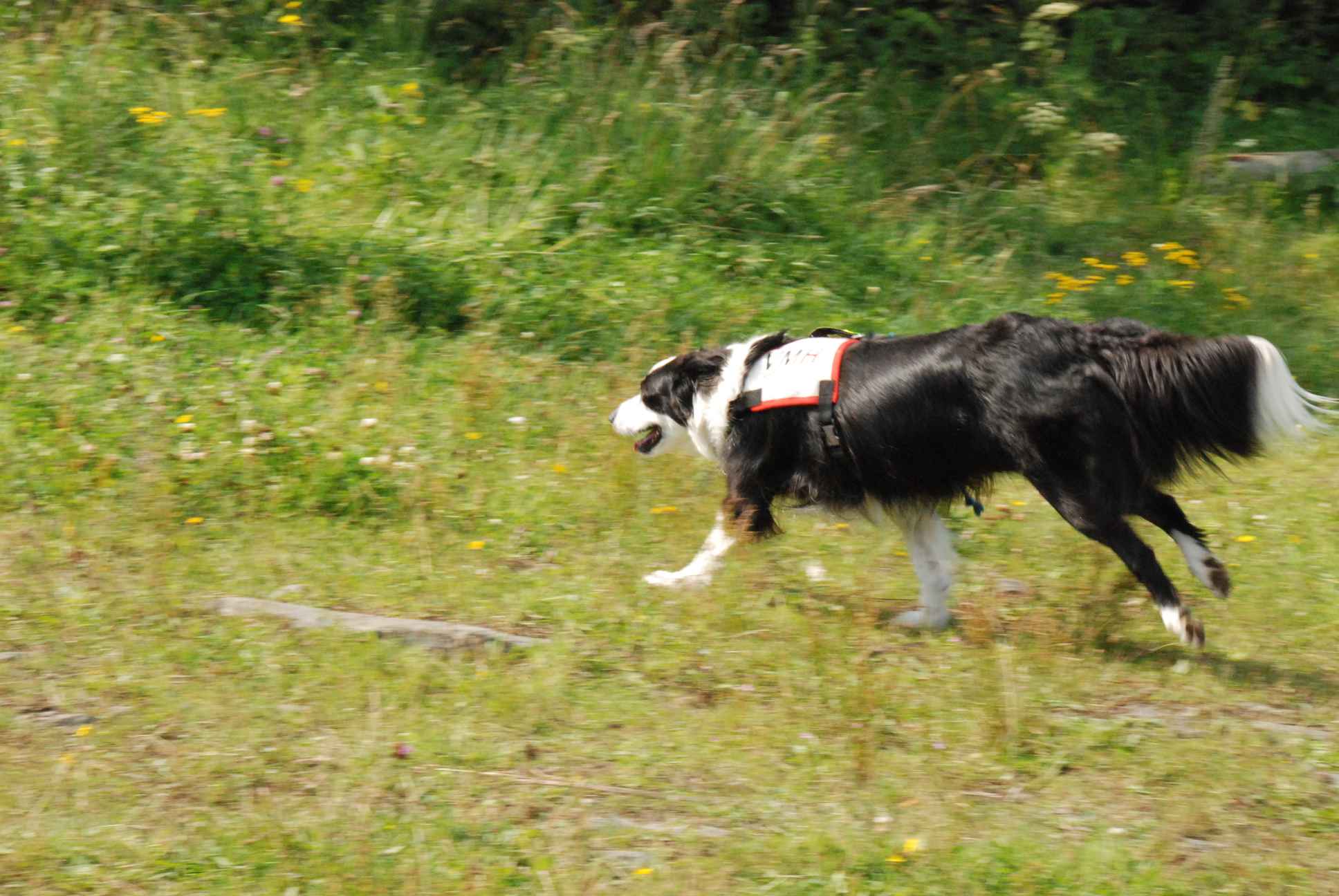 2009-08-23_ntb_7022