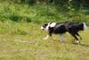 2009-08-23_ntb_7022