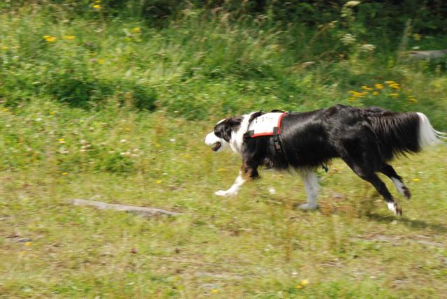 2009-08-23_ntb_7022