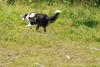 2009-08-23_ntb_7023