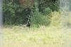 2009-08-23_ntb_7024