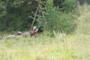 2009-08-23_ntb_7026