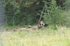 2009-08-23_ntb_7027