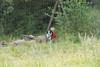 2009-08-23_ntb_7028