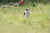 2009-08-23_ntb_7031