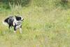 2009-08-23_ntb_7032