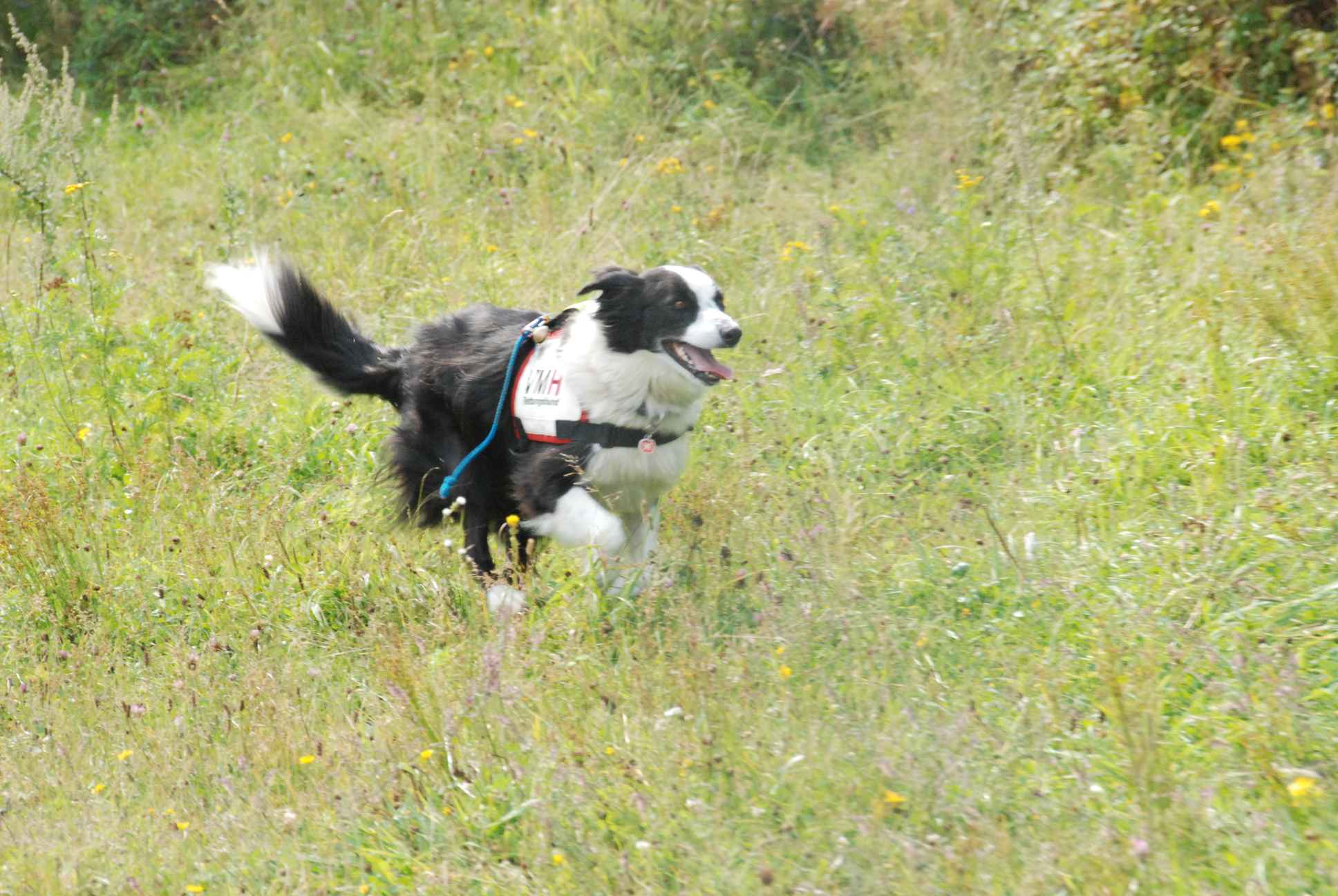 2009-08-23_ntb_7033