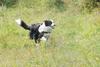 2009-08-23_ntb_7033