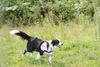 2009-08-23_ntb_7034