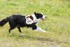 2009-08-23_ntb_7035