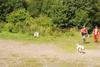 2009-08-23_ntb_7119