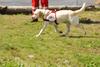 2009-08-23_ntb_7125