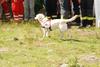 2009-08-23_ntb_7126
