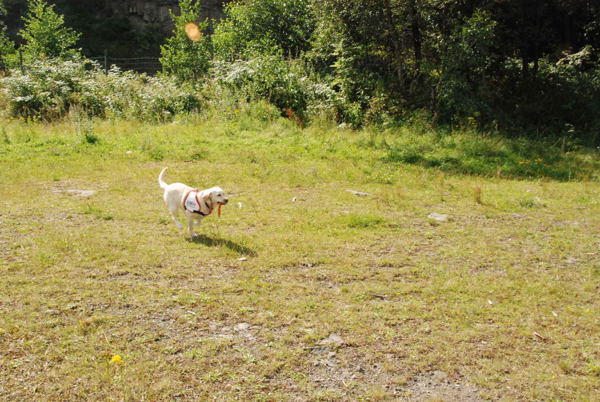 2009-08-23_ntb_7128