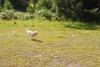 2009-08-23_ntb_7128