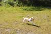 2009-08-23_ntb_7129