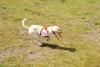 2009-08-23_ntb_7130