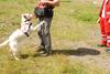 2009-08-23_ntb_7131