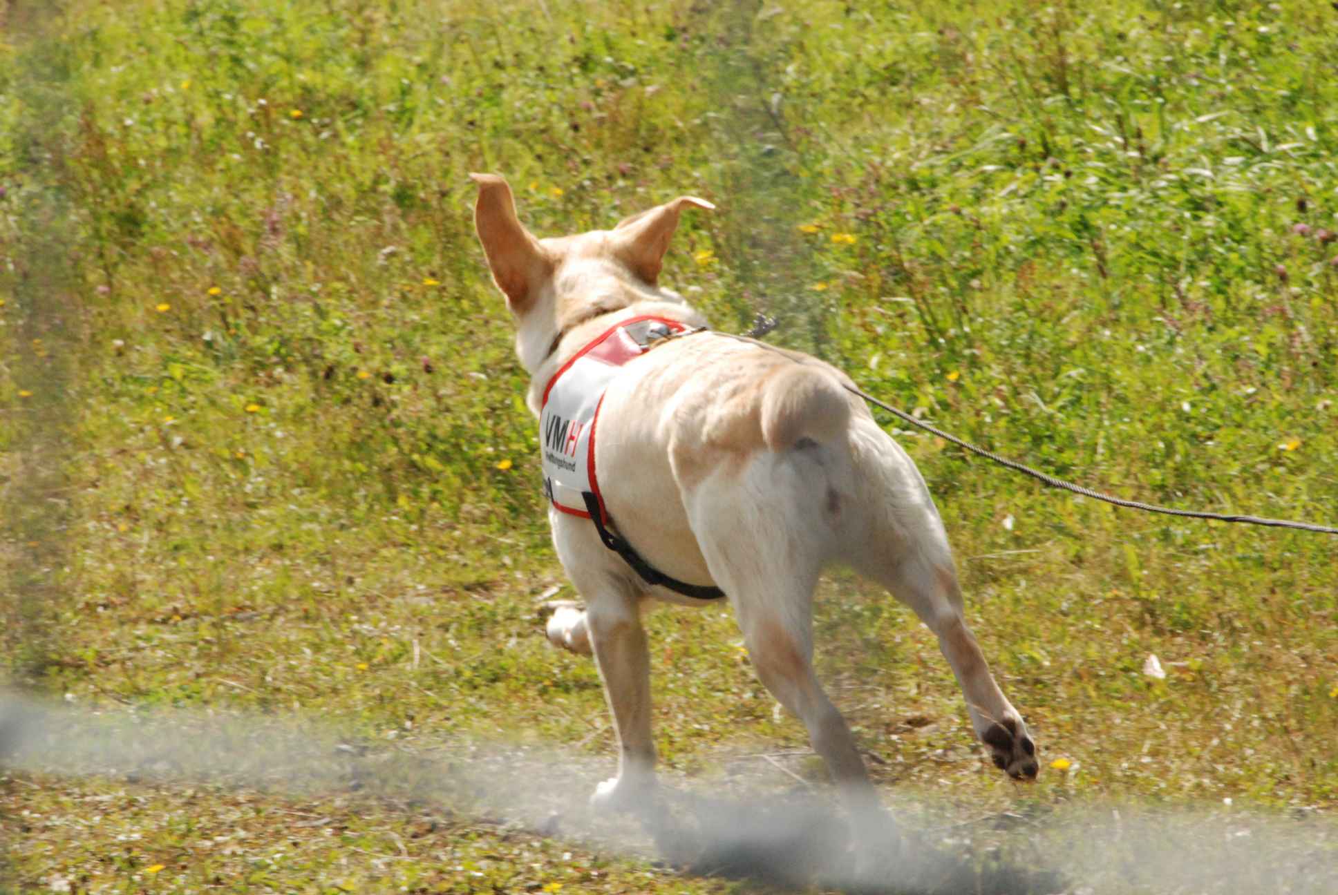 2009-08-23_ntb_7139