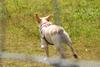 2009-08-23_ntb_7139