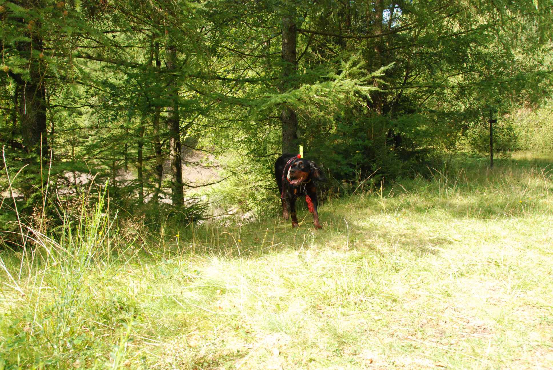 2009-08-22_ntb_6053