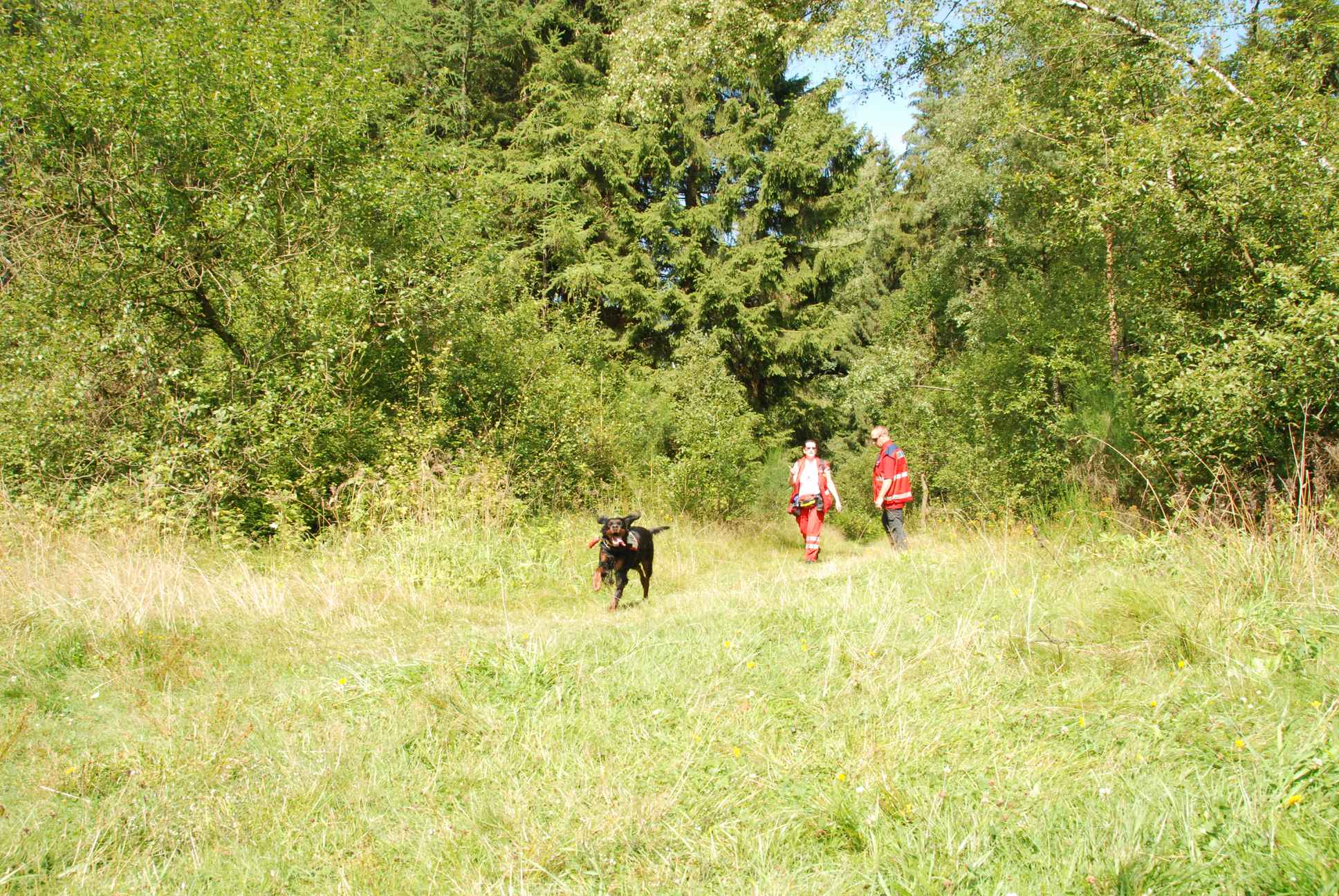 2009-08-22_ntb_6057