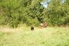 2009-08-22_ntb_6057