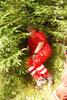 2009-08-22_ntb_6096