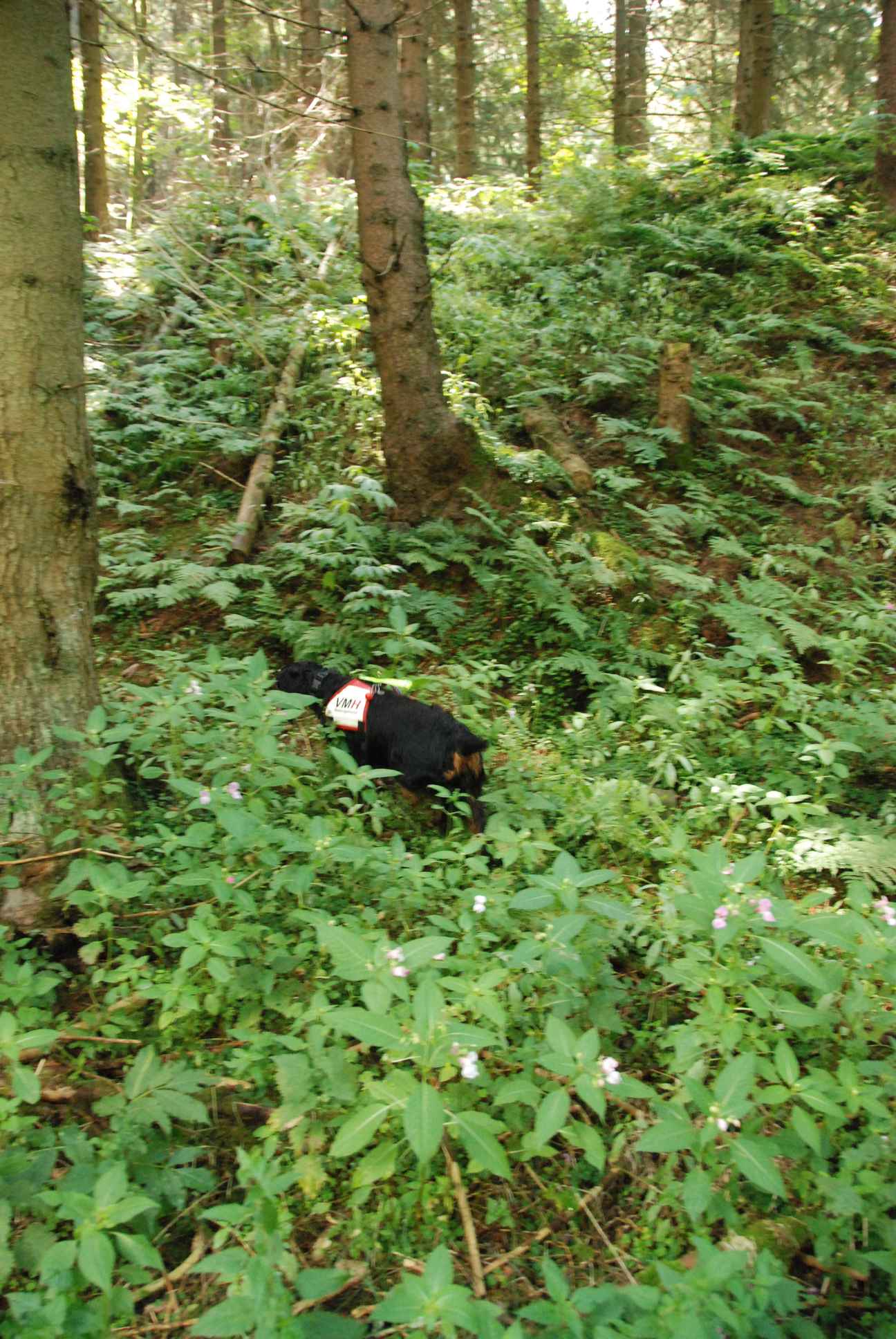 2009-08-22_ntb_6165