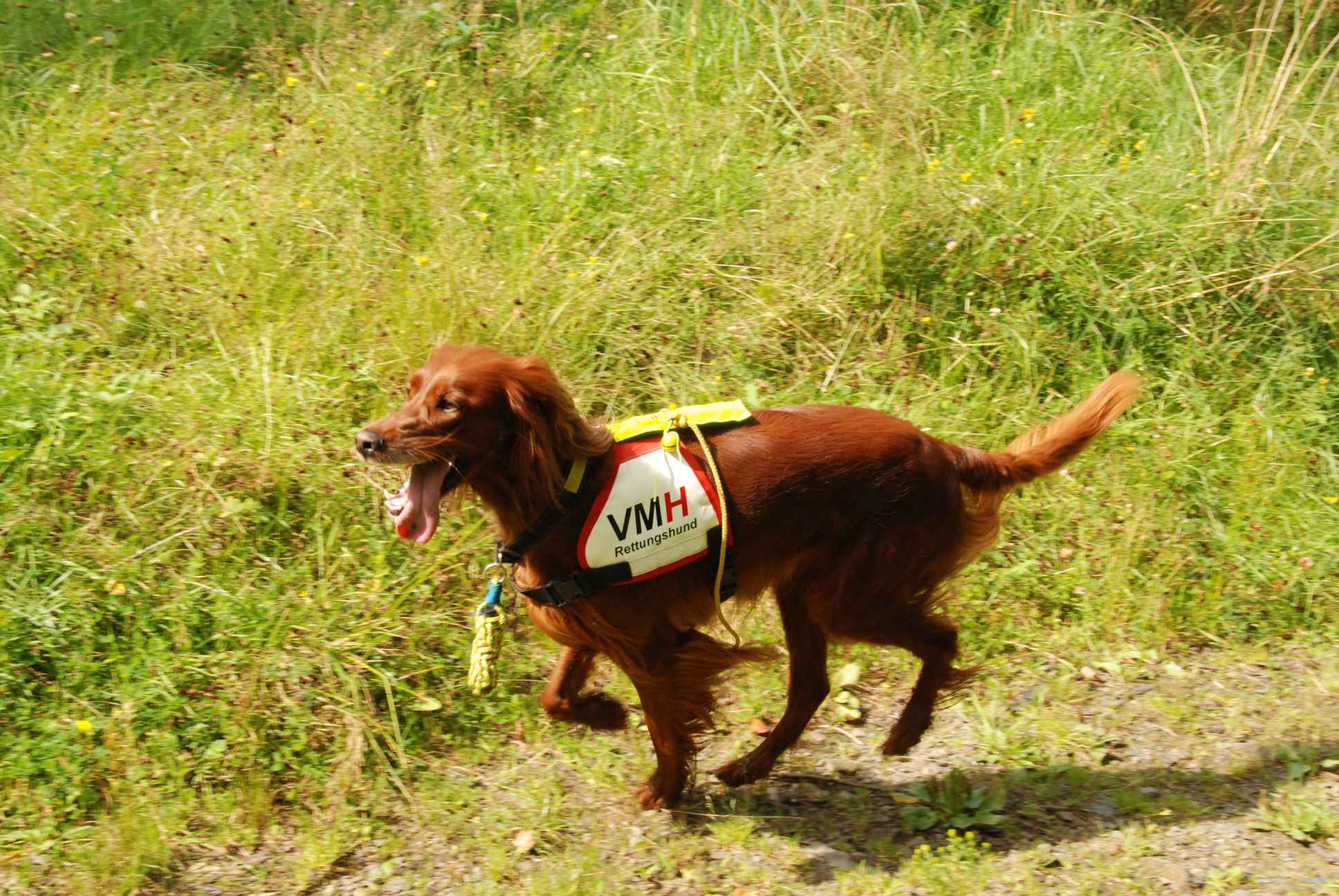 2009-08-22_ntb_6310