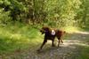 2009-08-22_ntb_6319