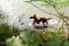 2009-08-22_ntb_6322