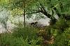 2009-08-22_ntb_6324