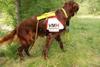 2009-08-22_ntb_6335