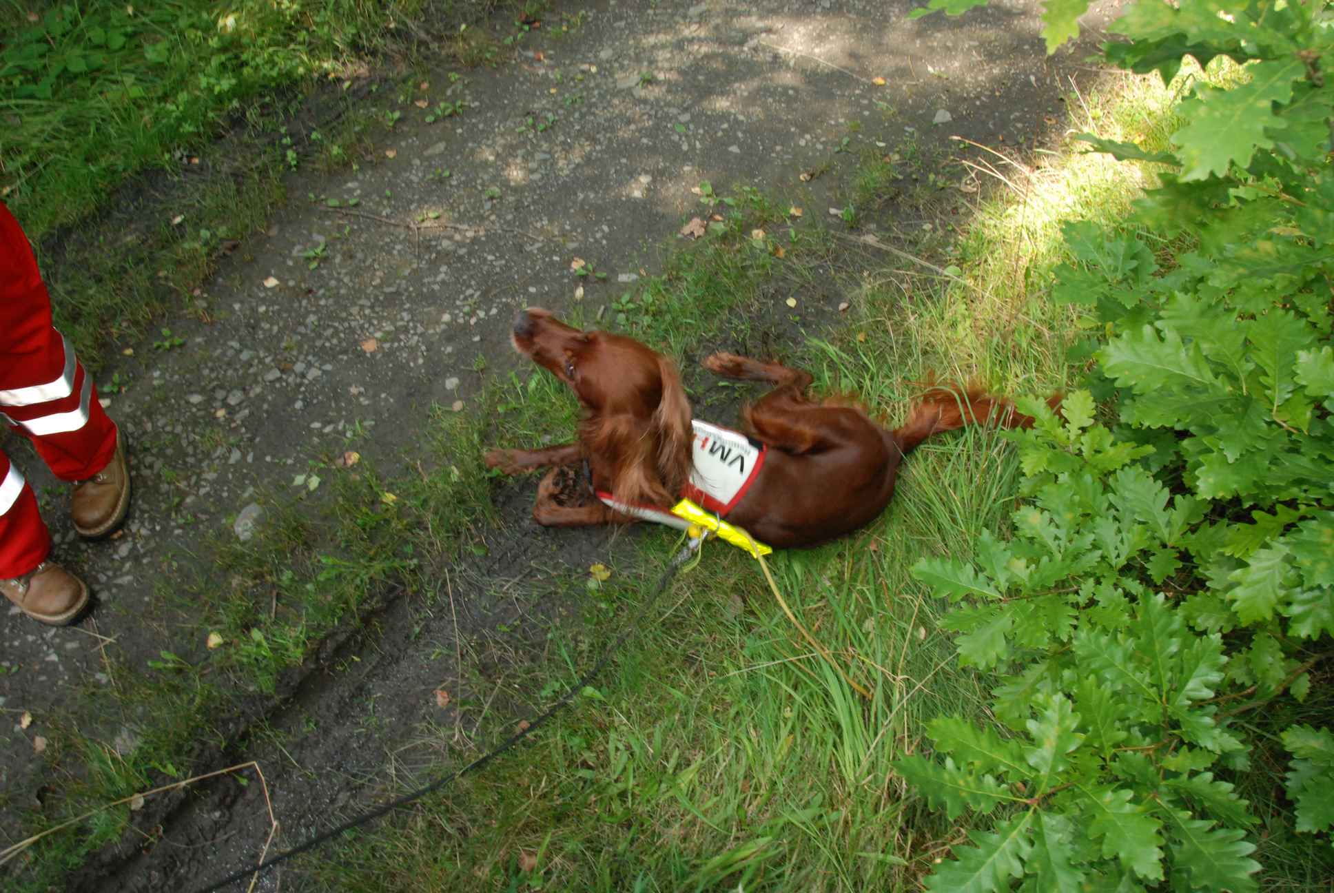 2009-08-22_ntb_6360