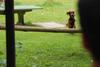 2009-08-22_ntb_6450