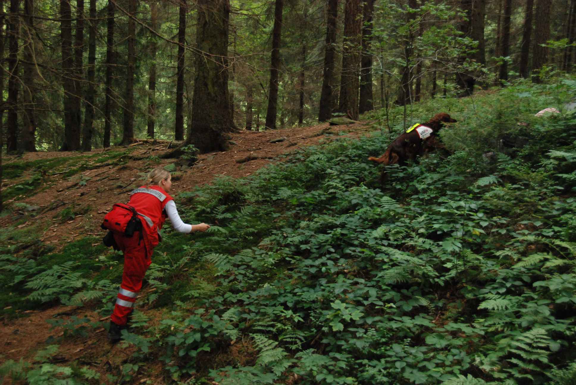 2009-08-22_ntb_6466