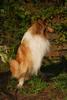 2009-08-14_ntb_4206