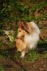 2009-08-14_ntb_4208