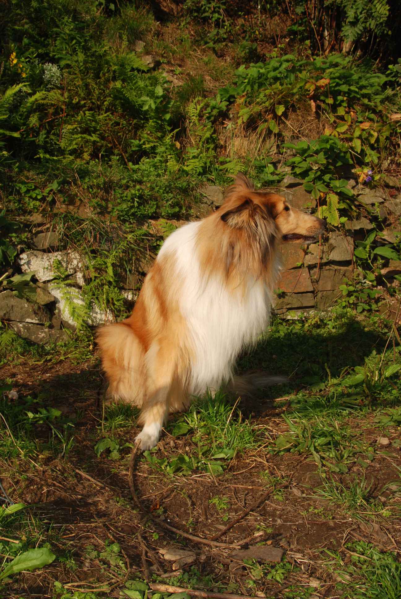 2009-08-14_ntb_4209