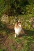 2009-08-14_ntb_4210